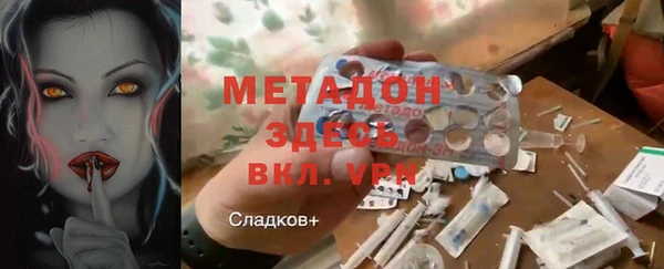 прущие грибы Алексеевка