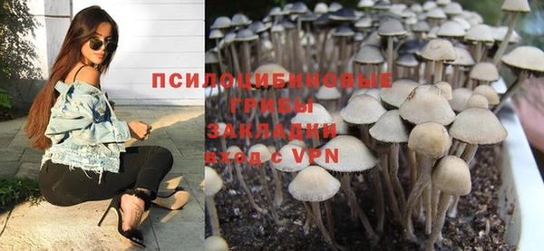 твердый Алексин