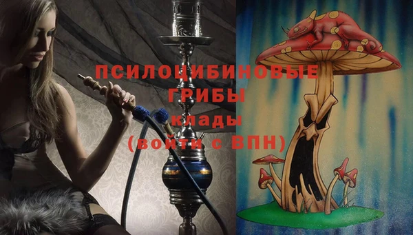 дмт Алзамай