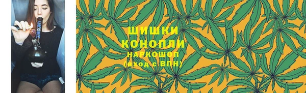 прущие грибы Алексеевка