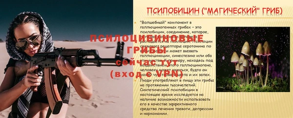 твердый Алексин