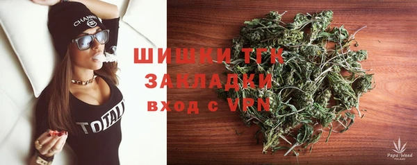 дмт Алзамай