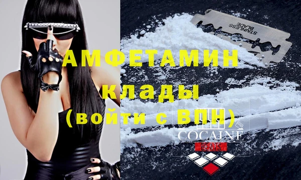 дмт Алзамай