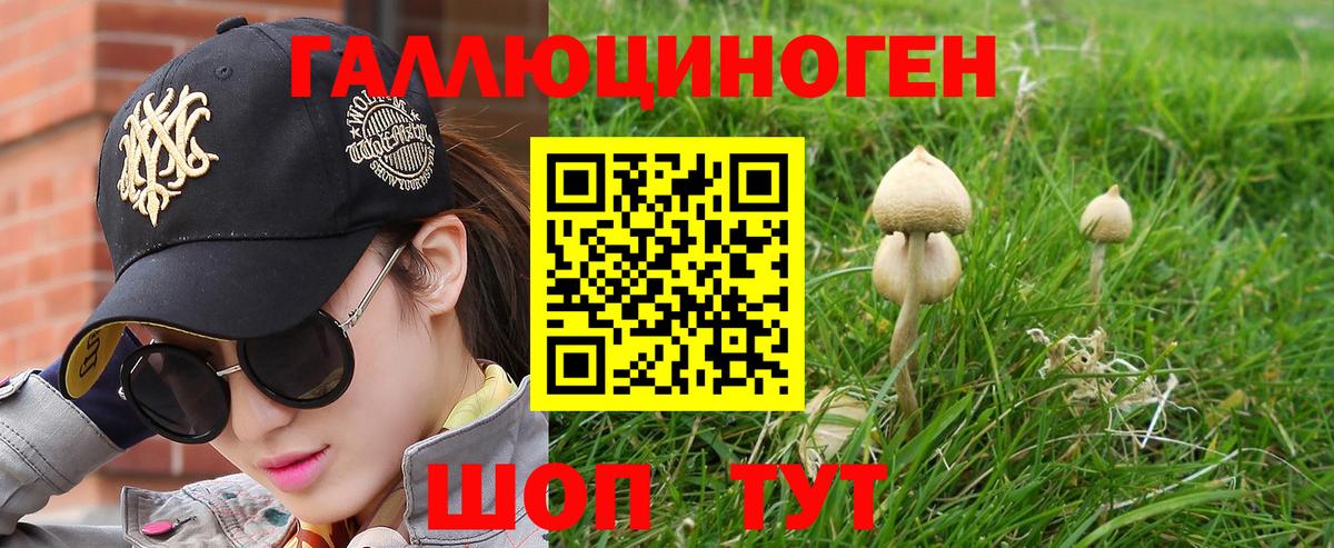 Псилоцибиновые грибы Psilocybine cubensis  Вход с VPN  купить наркотик  Тара 