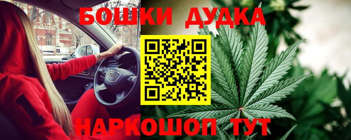 Каннабис планчик Тара